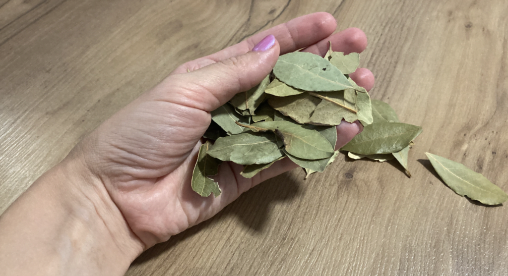 Esta imagem tem um texto alternativo em branco, o nome da imagem é image-13-1024x557.png