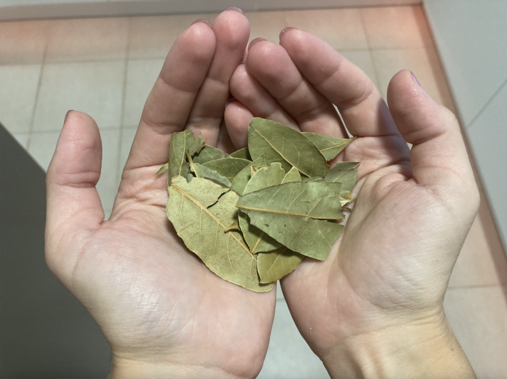 Esta imagem tem um texto alternativo em branco, o nome da imagem é image-14-1024x766.png