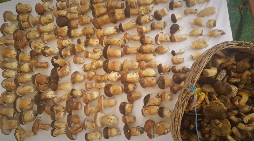 Esta imagem tem um texto alternativo em branco, o nome da imagem é image-6-1024x569.png