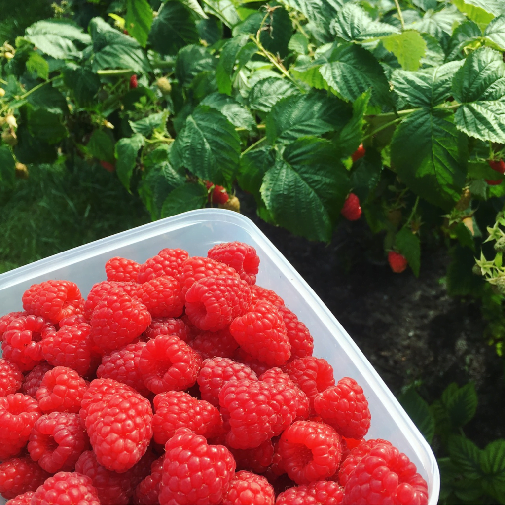 Esta imagem tem um texto alternativo em branco, o nome da imagem é image-43-1024x1024.png