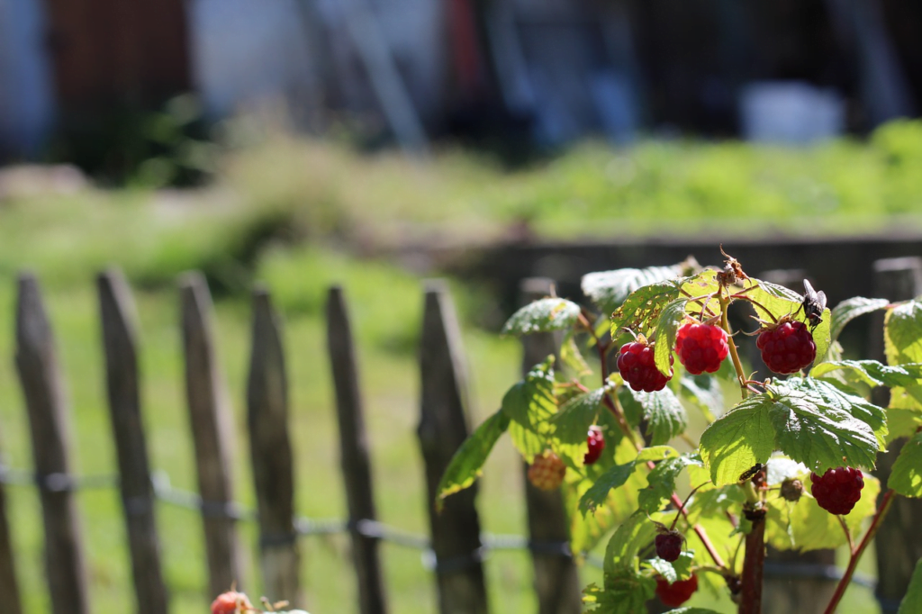 Esta imagem tem um texto alternativo em branco, o nome da imagem é image-47-1024x682.png