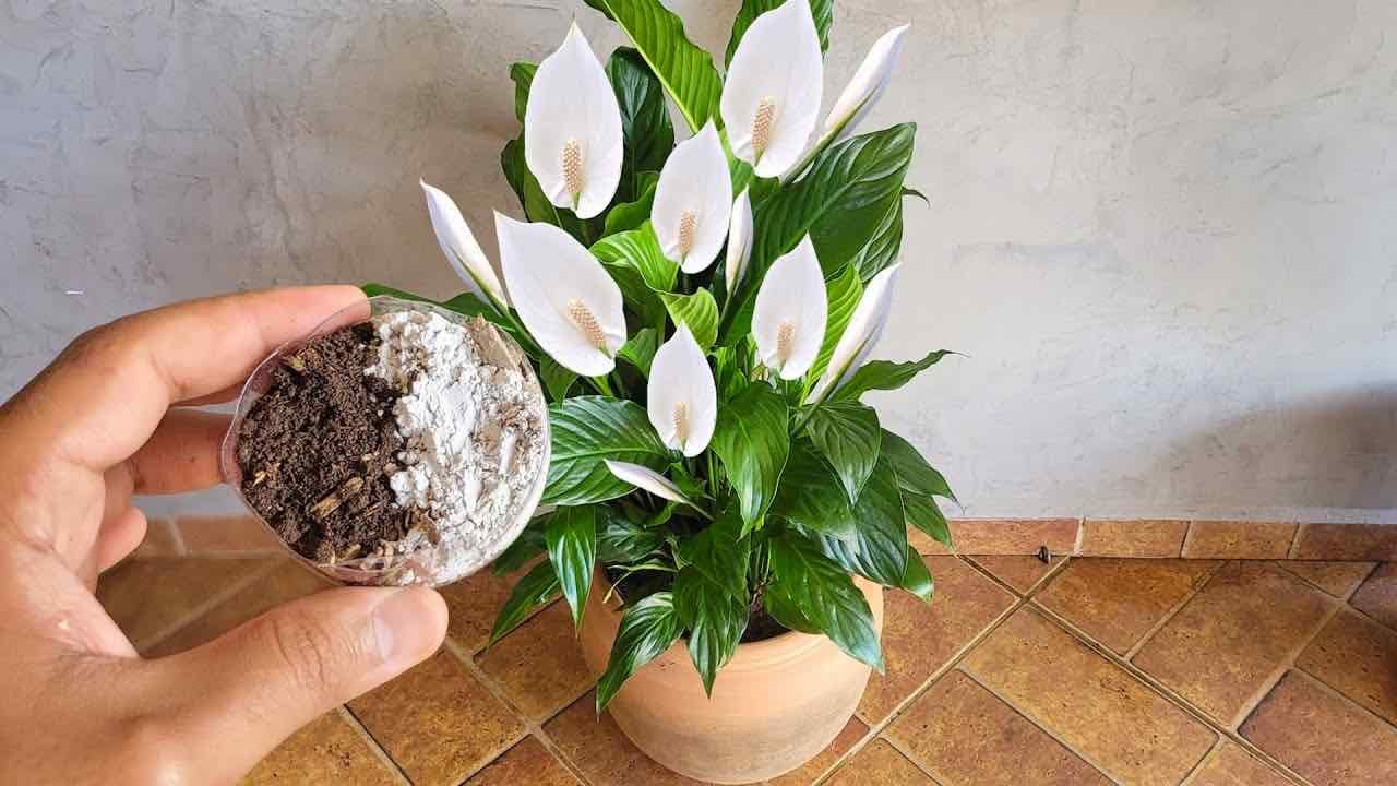 This image has an empty alt attribute; its file name is 5-11.jpg